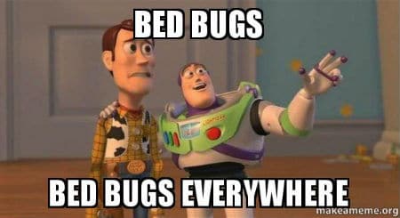 bedbugs prefer females