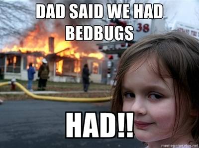 get rid bed bugs