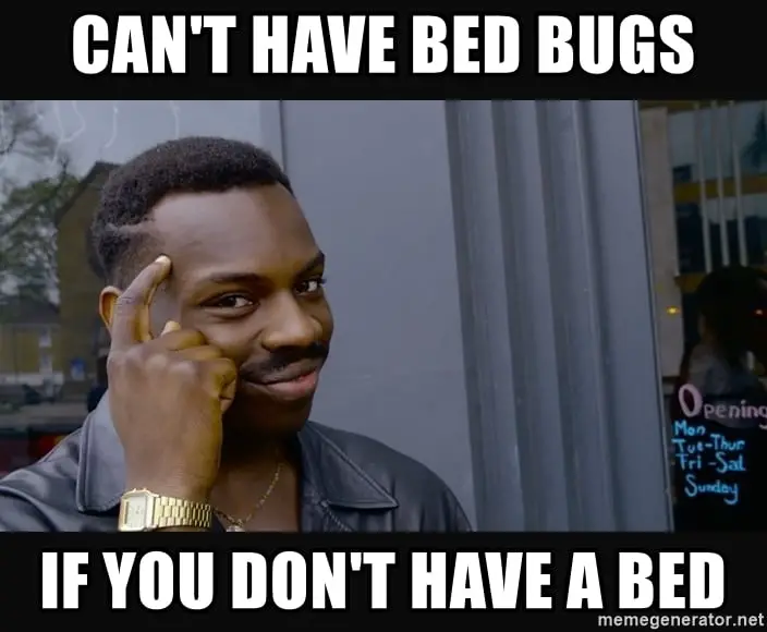 how car bed bug