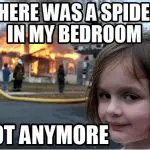 keep spider away bed