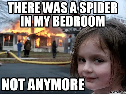 keep spider away bed