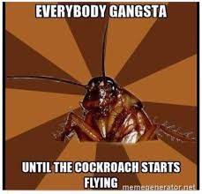 Do Cockroaches Sleep