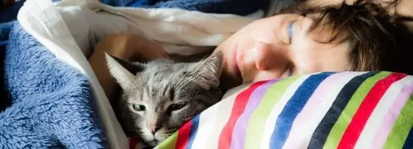 Why Cat Sleep Me Not Husband
